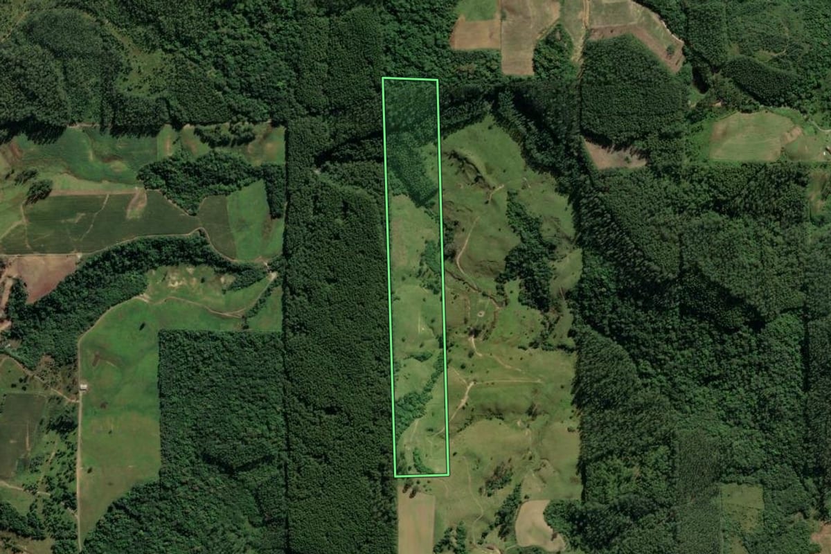 Imagem de satélite do imóvel rural em Lauro Müller (SC), com o contorno declarado no CAR desenhado por cima.