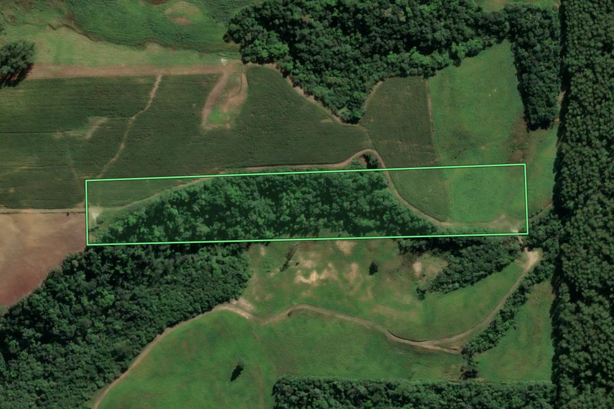 Imagem de satélite do imóvel rural em Lauro Müller (SC), com o contorno declarado no CAR desenhado por cima.