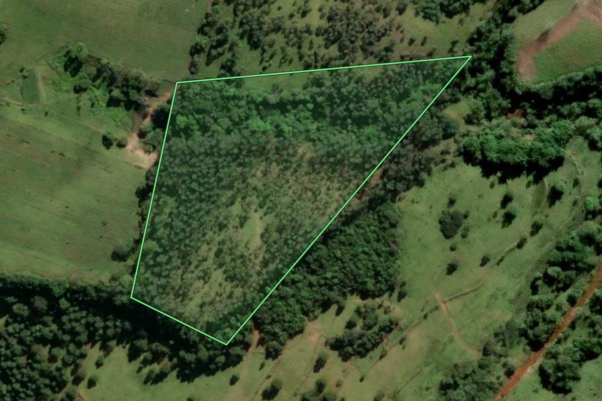 Imagem de satélite do imóvel rural em Lauro Müller (SC), com o contorno declarado no CAR desenhado por cima.