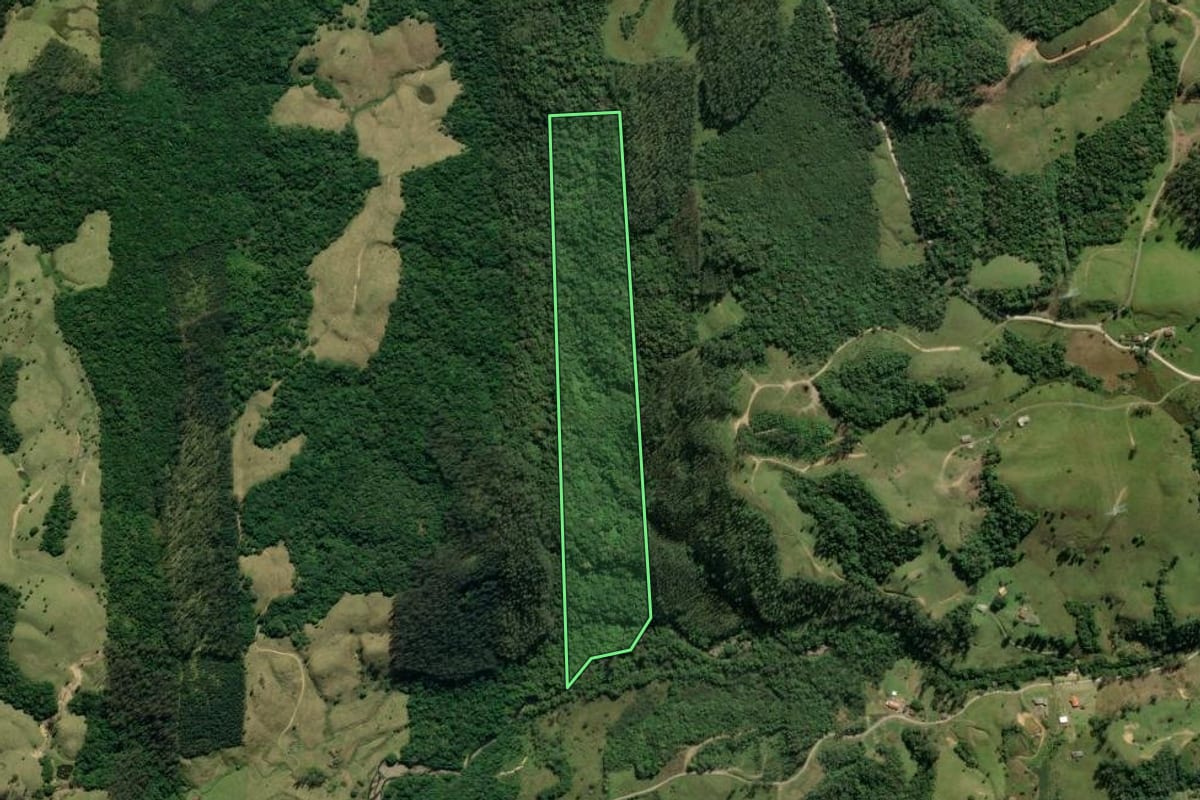 Imagem de satélite do imóvel rural em Lauro Müller (SC), com o contorno declarado no CAR desenhado por cima.
