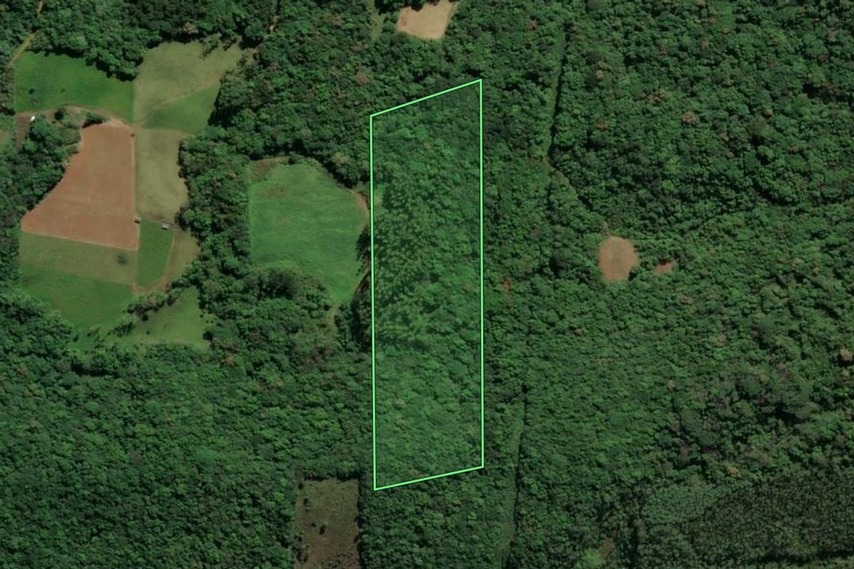 Imagem de satélite do imóvel rural em Lauro Müller (SC), com o contorno declarado no CAR desenhado por cima.