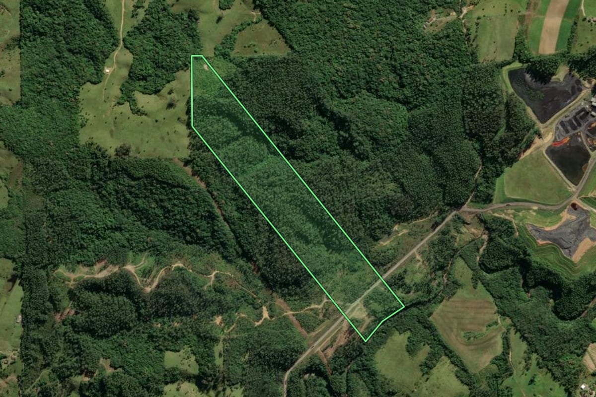 Imagem de satélite do imóvel rural em Lauro Müller (SC), com o contorno declarado no CAR desenhado por cima.