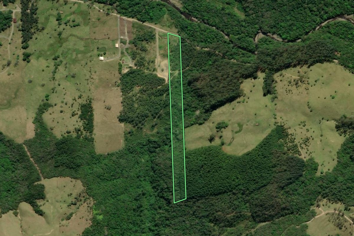 Imagem de satélite do imóvel rural em Lauro Müller (SC), com o contorno declarado no CAR desenhado por cima.