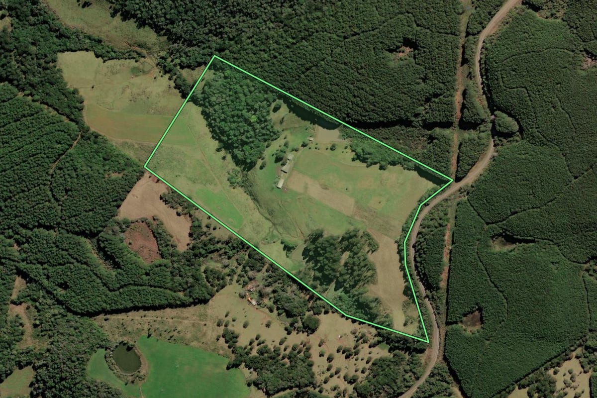 Imagem de satélite do imóvel rural em Lebon Régis (SC), com o contorno declarado no CAR desenhado por cima.