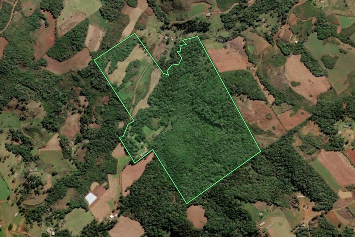 Imagem de satélite do imóvel rural em Lebon Régis (SC), com o contorno declarado no CAR desenhado por cima.