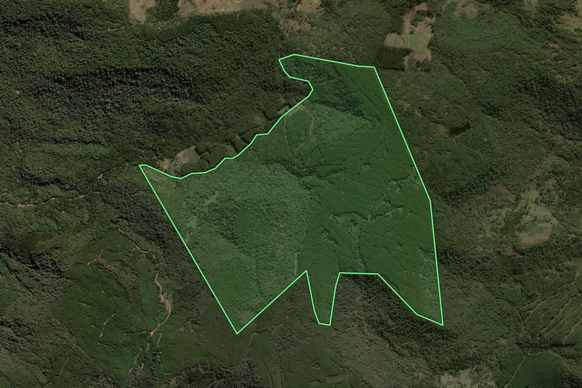 Imagem de satélite do imóvel rural em Lebon Régis (SC), com o contorno declarado no CAR desenhado por cima.
