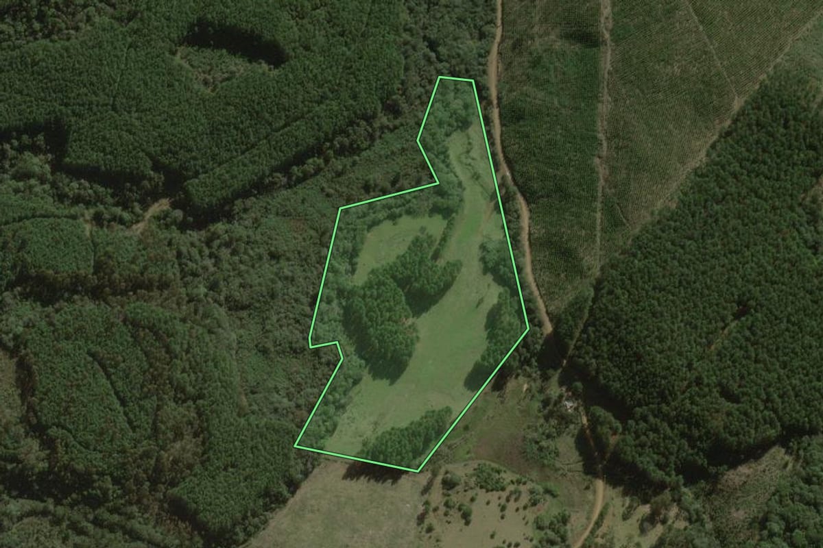 Imagem de satélite do imóvel rural em Lebon Régis (SC), com o contorno declarado no CAR desenhado por cima.