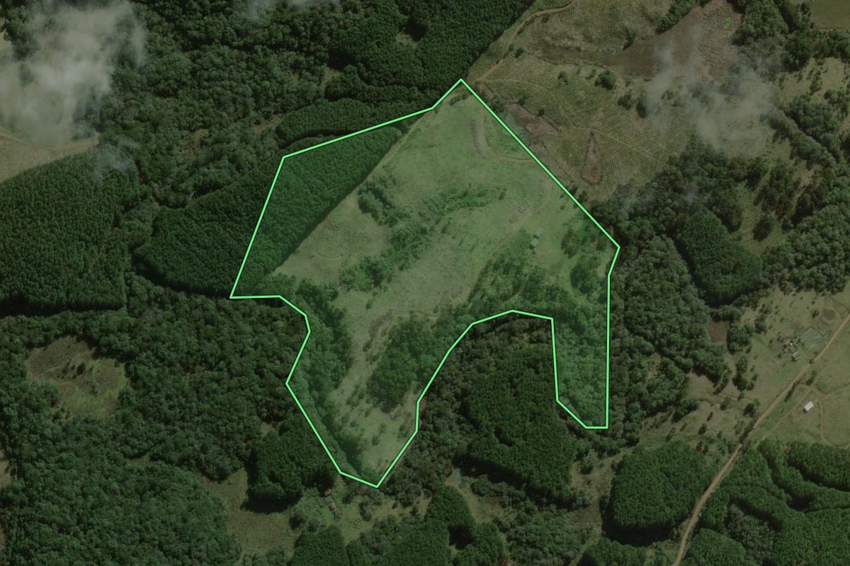 Imagem de satélite do imóvel rural em Lebon Régis (SC), com o contorno declarado no CAR desenhado por cima.