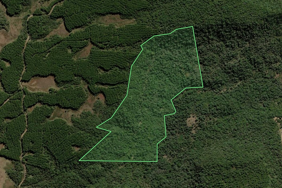 Imagem de satélite do imóvel rural em Lebon Régis (SC), com o contorno declarado no CAR desenhado por cima.
