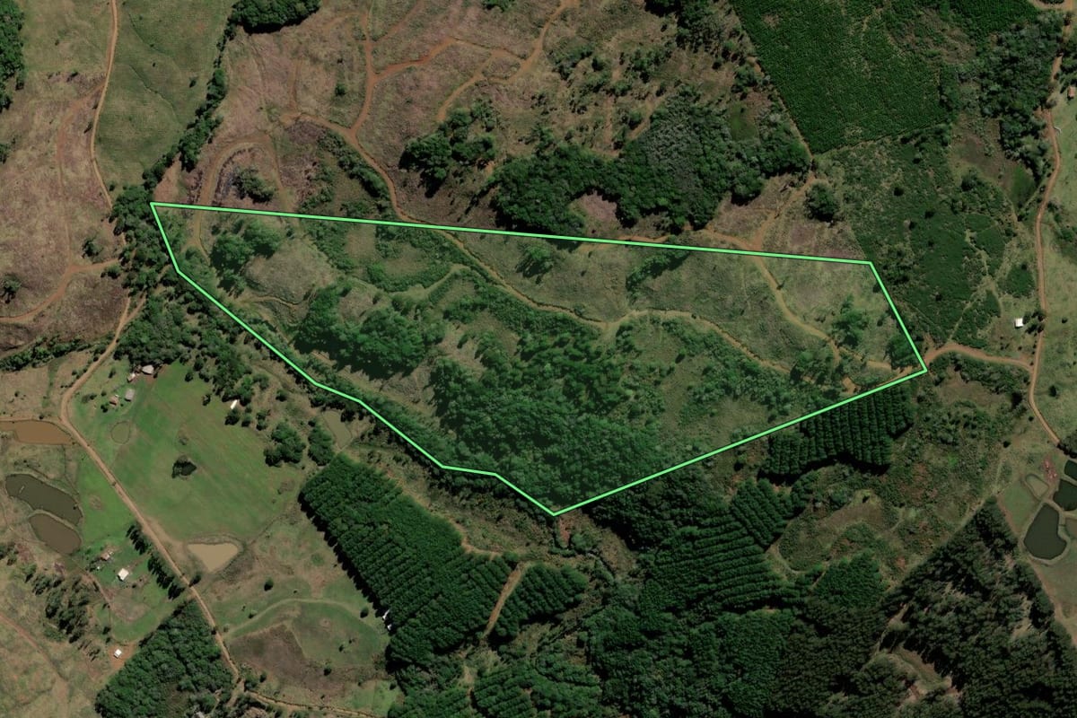 Imagem de satélite do imóvel rural em Lebon Régis (SC), com o contorno declarado no CAR desenhado por cima.