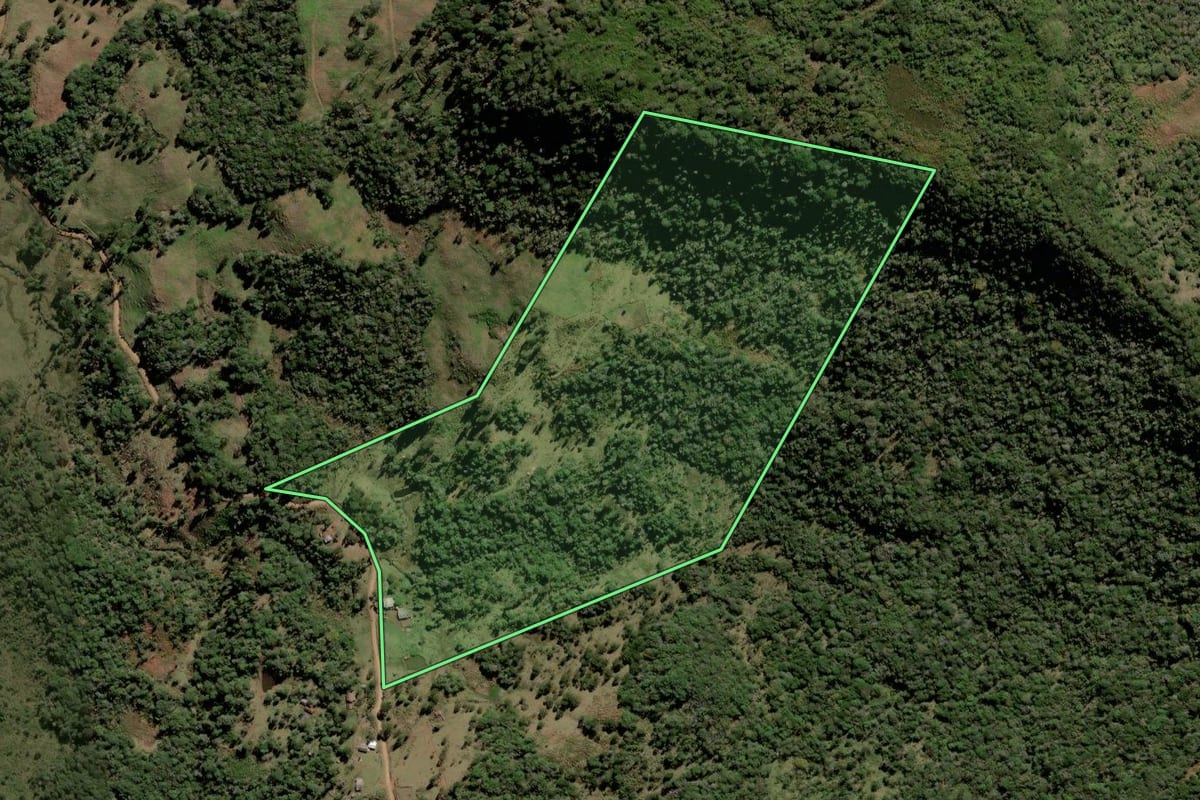 Imagem de satélite do imóvel rural em Lebon Régis (SC), com o contorno declarado no CAR desenhado por cima.