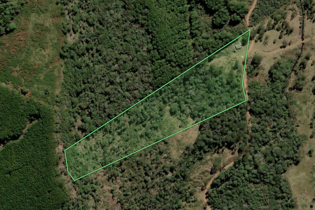 Imagem de satélite do imóvel rural em Lebon Régis (SC), com o contorno declarado no CAR desenhado por cima.