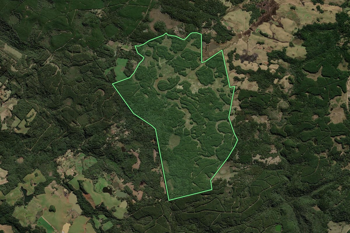 Imagem de satélite do imóvel rural em Lebon Régis (SC), com o contorno declarado no CAR desenhado por cima.