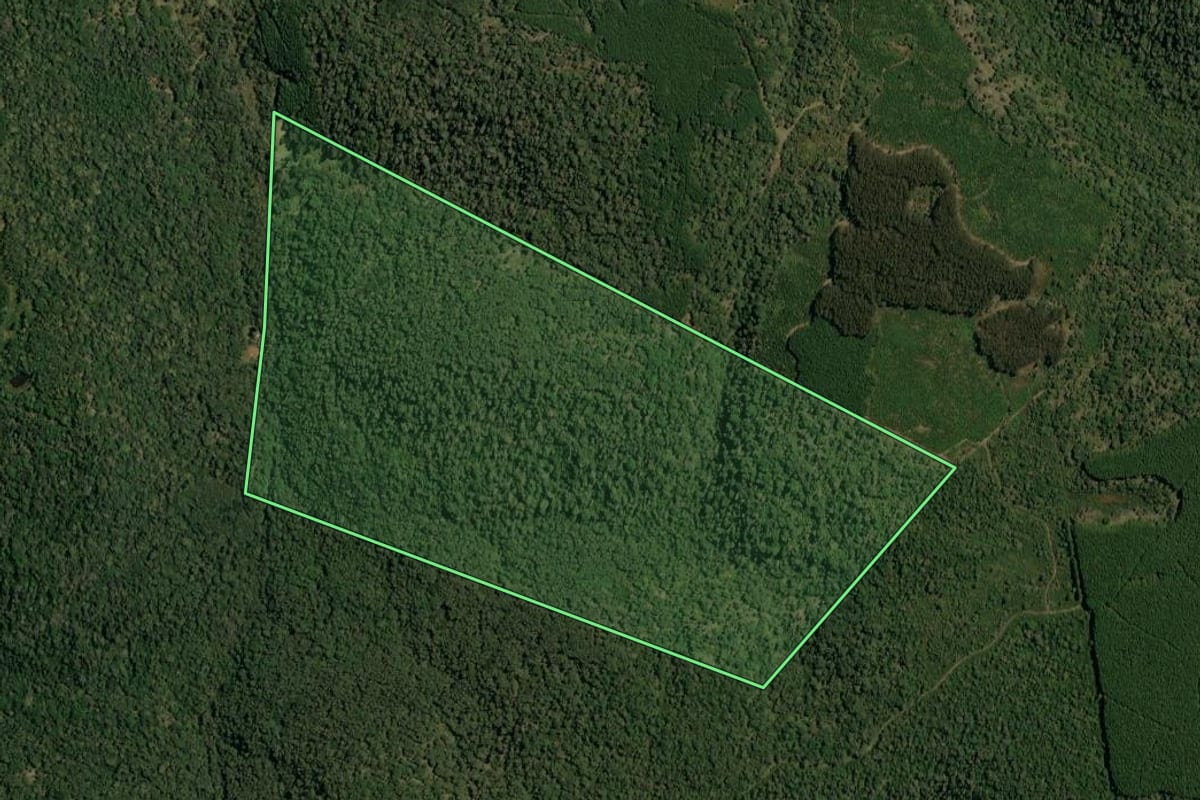 Imagem de satélite do imóvel rural em Lebon Régis (SC), com o contorno declarado no CAR desenhado por cima.