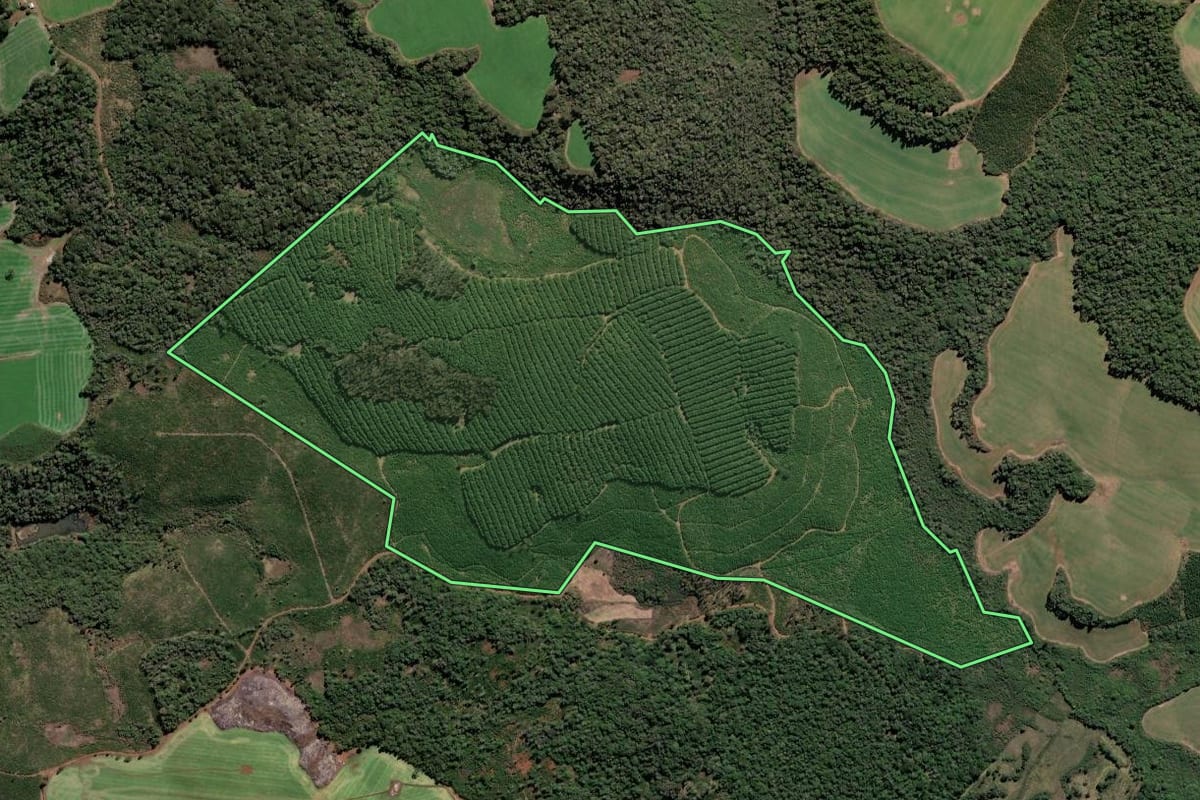 Imagem de satélite do imóvel rural em Lebon Régis (SC), com o contorno declarado no CAR desenhado por cima.