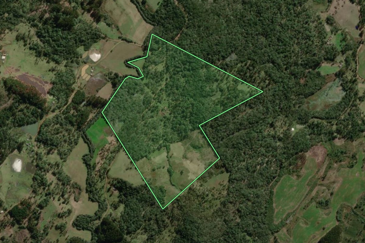 Imagem de satélite do imóvel rural em Lebon Régis (SC), com o contorno declarado no CAR desenhado por cima.