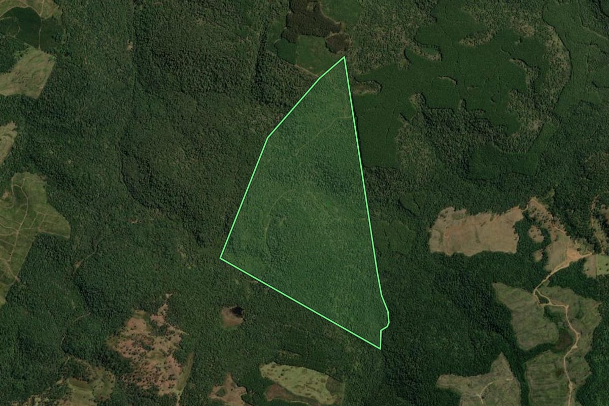 Imagem de satélite do imóvel rural em Lebon Régis (SC), com o contorno declarado no CAR desenhado por cima.