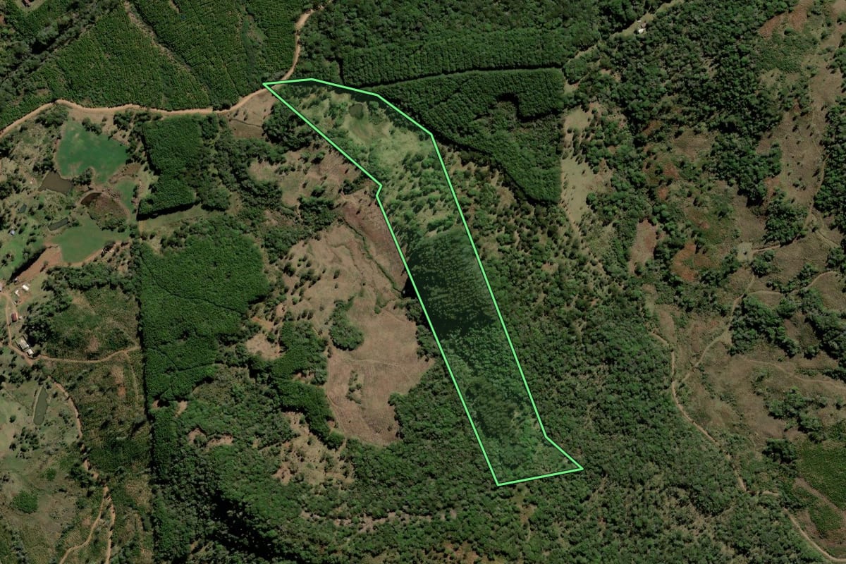 Imagem de satélite do imóvel rural em Lebon Régis (SC), com o contorno declarado no CAR desenhado por cima.