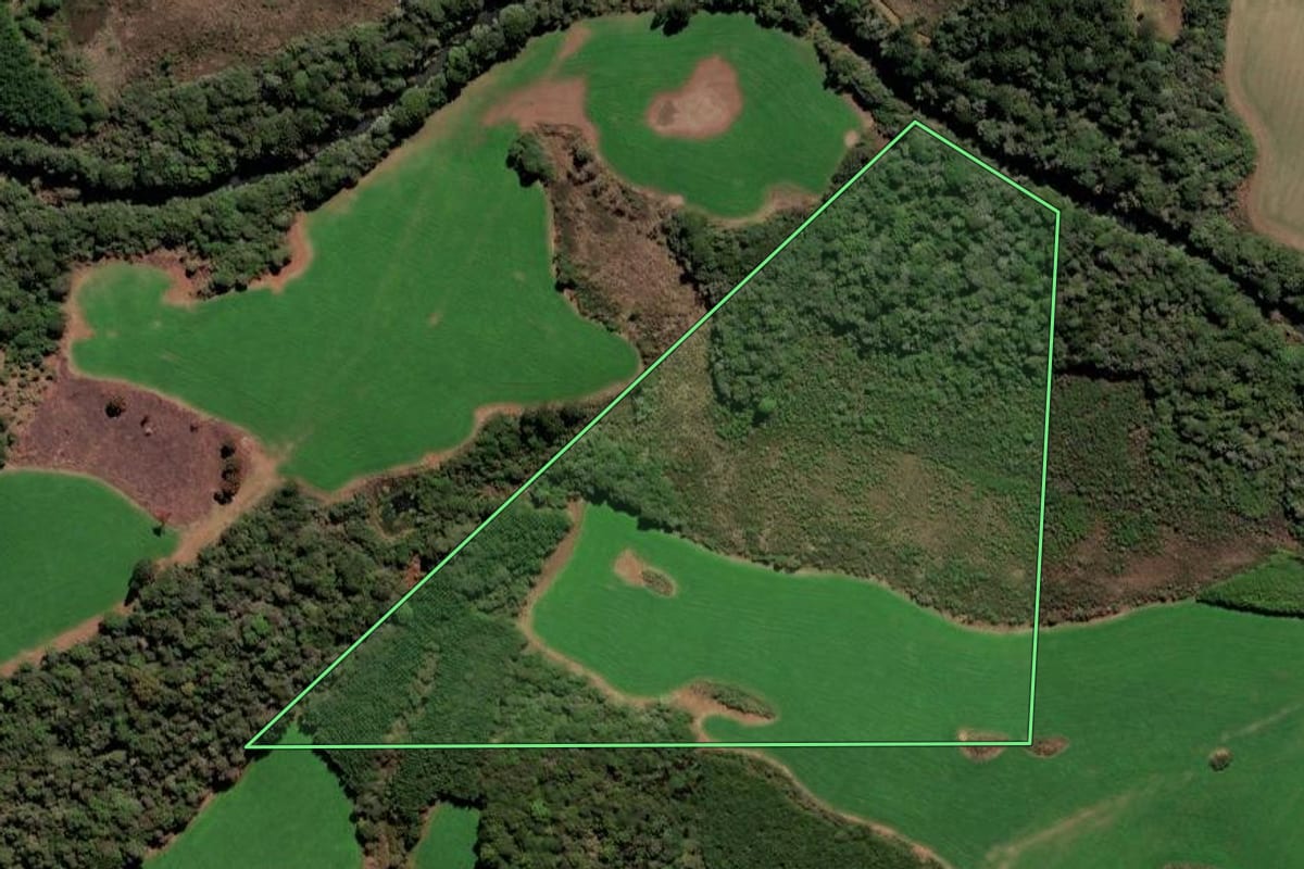 Imagem de satélite do imóvel rural em Lebon Régis (SC), com o contorno declarado no CAR desenhado por cima.