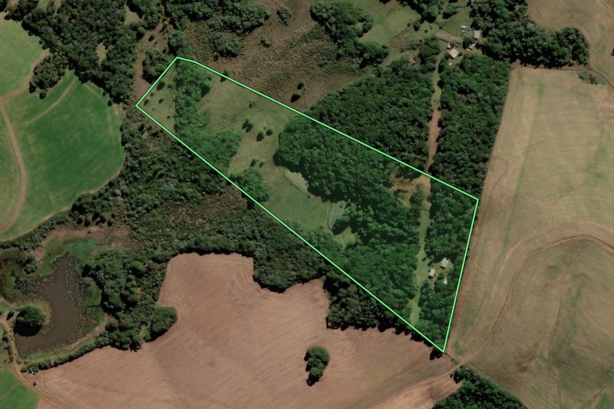 Imagem de satélite do imóvel rural em Lebon Régis (SC), com o contorno declarado no CAR desenhado por cima.