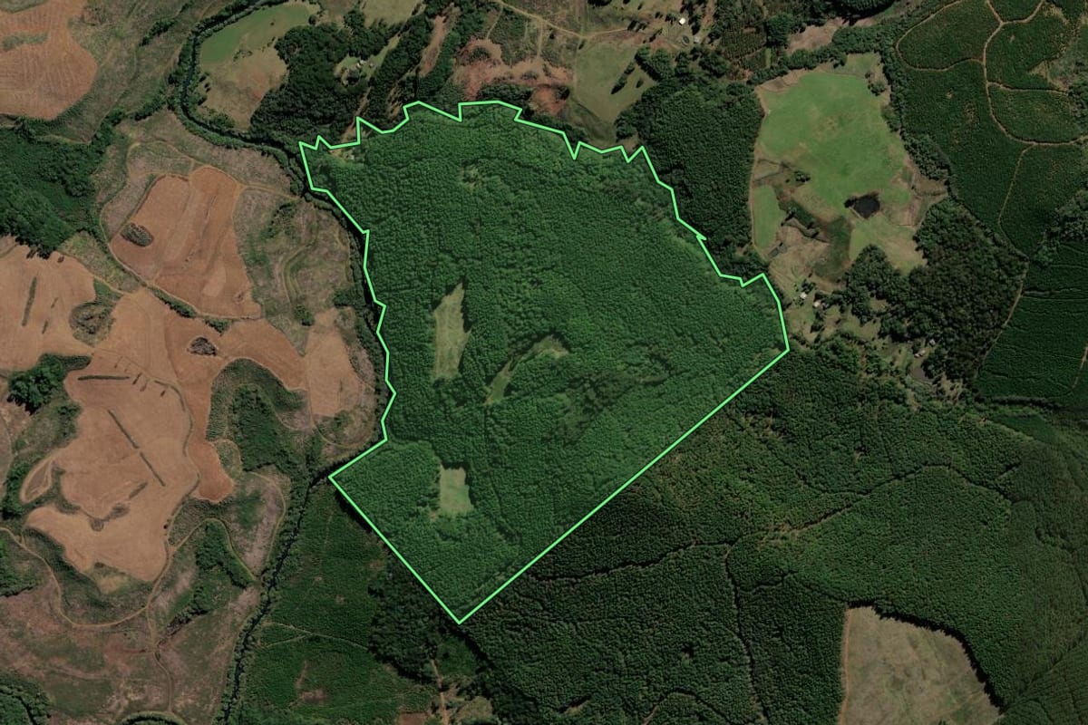 Imagem de satélite do imóvel rural em Santa Cecília (SC), com o contorno declarado no CAR desenhado por cima.
