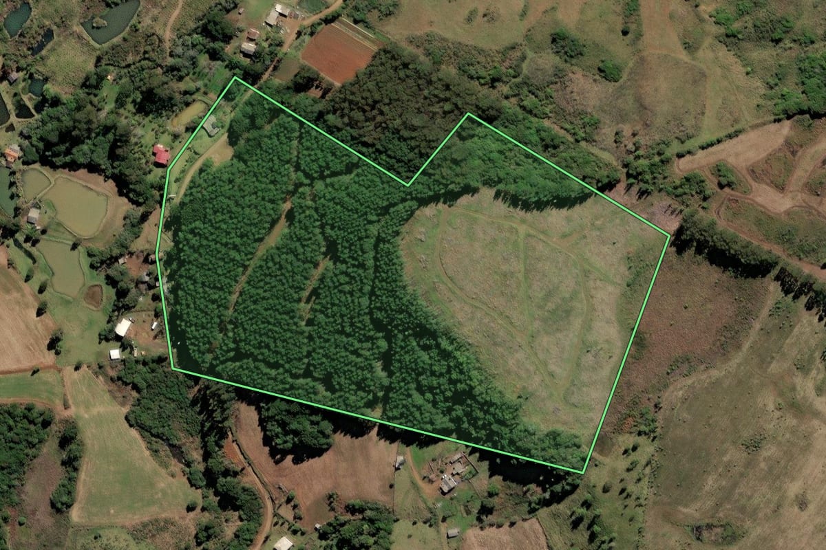 Imagem de satélite do imóvel rural em Lebon Régis (SC), com o contorno declarado no CAR desenhado por cima.