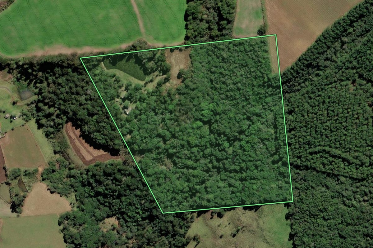 Imagem de satélite do imóvel rural em Lebon Régis (SC), com o contorno declarado no CAR desenhado por cima.