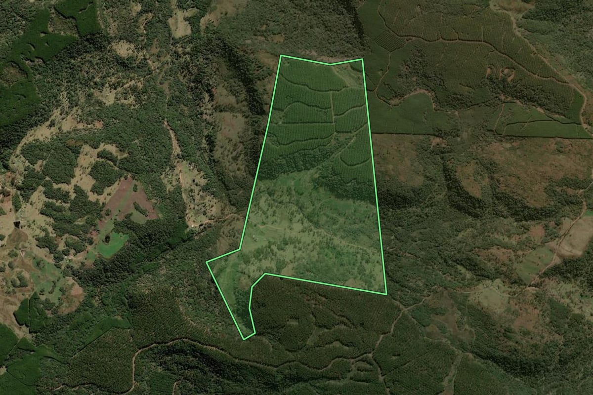Imagem de satélite do imóvel rural em Lebon Régis (SC), com o contorno declarado no CAR desenhado por cima.