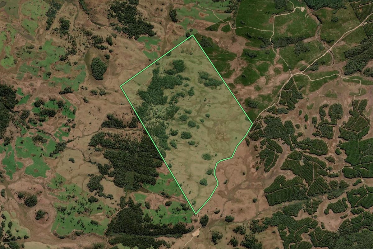 Imagem de satélite do imóvel rural em Lebon Régis (SC), com o contorno declarado no CAR desenhado por cima.