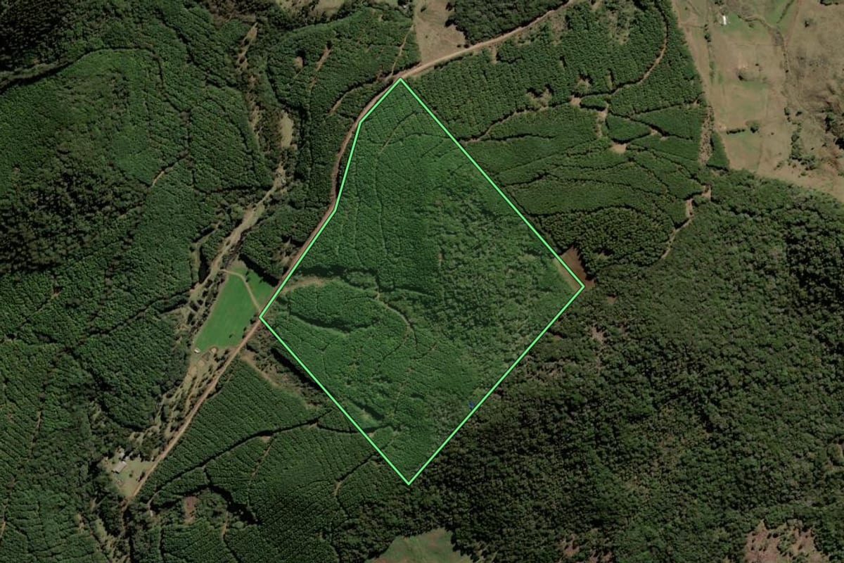 Imagem de satélite do imóvel rural em Lebon Régis (SC), com o contorno declarado no CAR desenhado por cima.