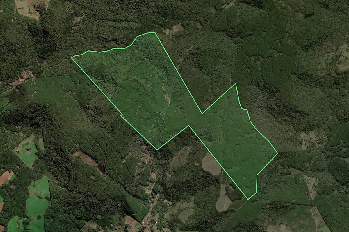 Imagem de satélite do imóvel rural em Lebon Régis (SC), com o contorno declarado no CAR desenhado por cima.