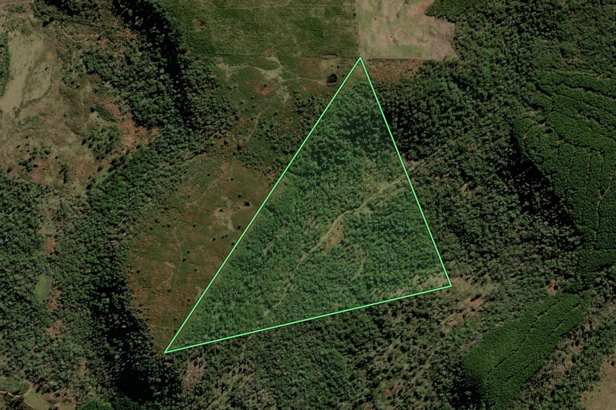 Imagem de satélite do imóvel rural em Lebon Régis (SC), com o contorno declarado no CAR desenhado por cima.