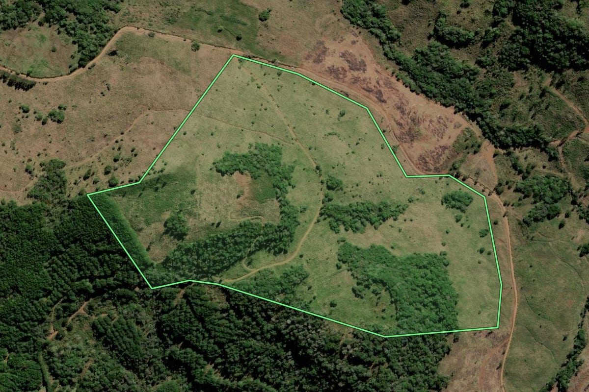 Imagem de satélite do imóvel rural em Lebon Régis (SC), com o contorno declarado no CAR desenhado por cima.