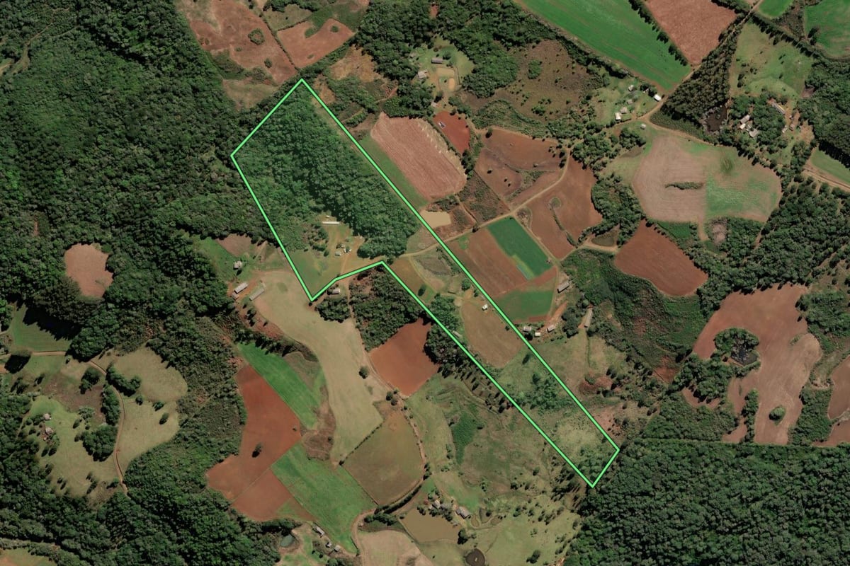 Imagem de satélite do imóvel rural em Lebon Régis (SC), com o contorno declarado no CAR desenhado por cima.