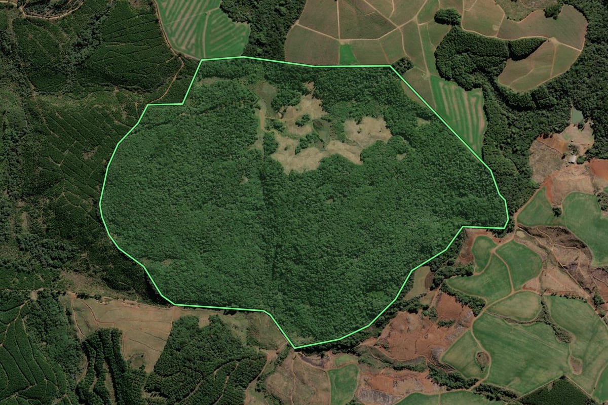 Imagem de satélite do imóvel rural em Lebon Régis (SC), com o contorno declarado no CAR desenhado por cima.