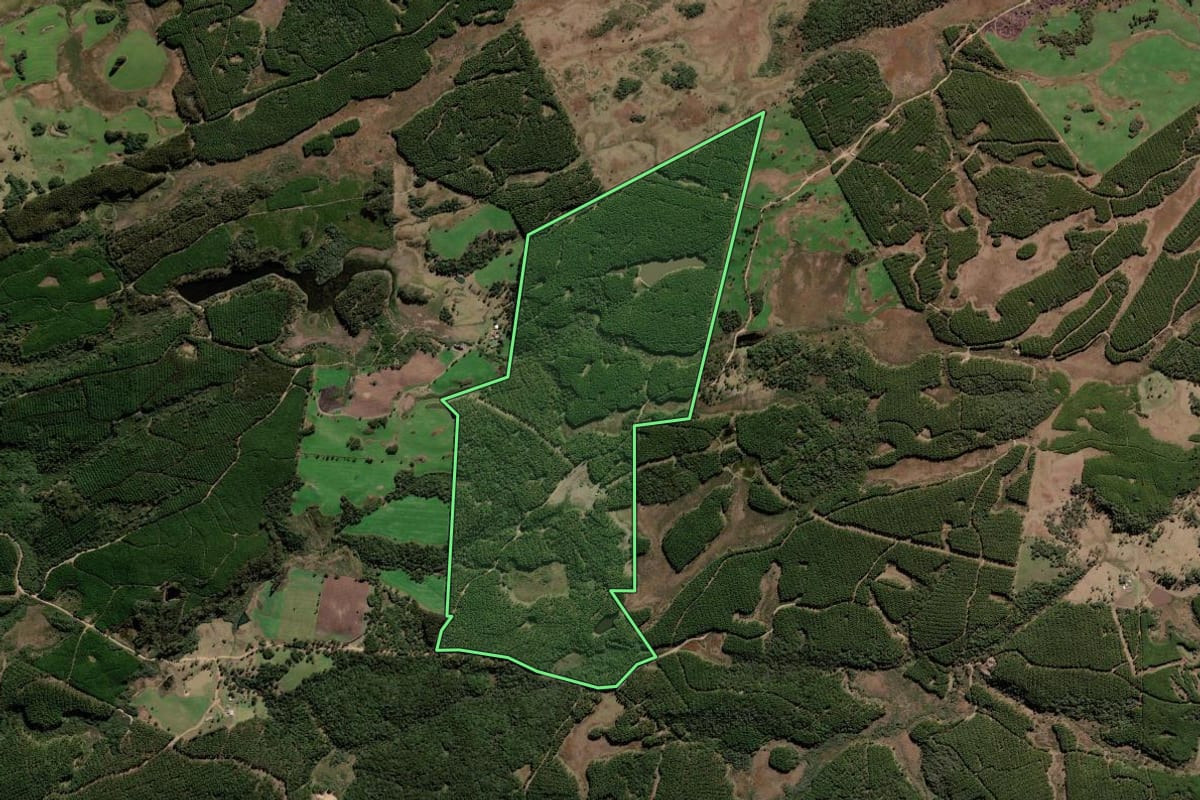 Imagem de satélite do imóvel rural em Lebon Régis (SC), com o contorno declarado no CAR desenhado por cima.