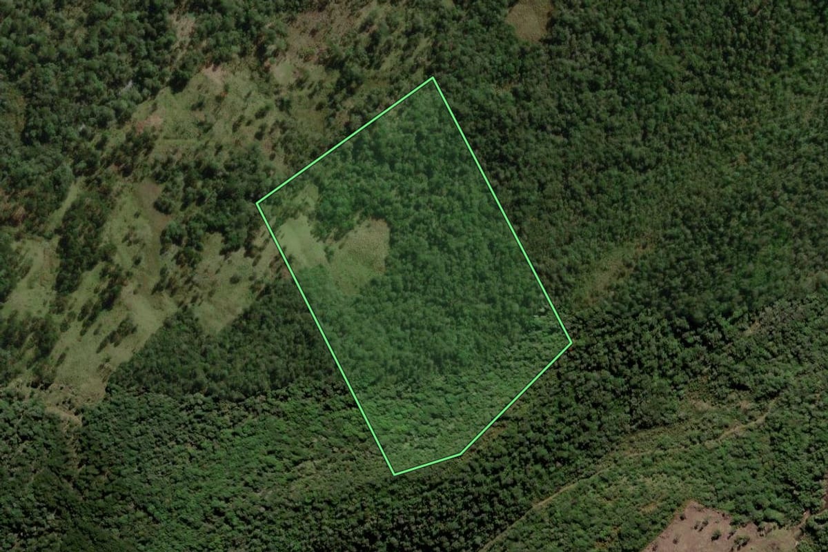 Imagem de satélite do imóvel rural em Lebon Régis (SC), com o contorno declarado no CAR desenhado por cima.