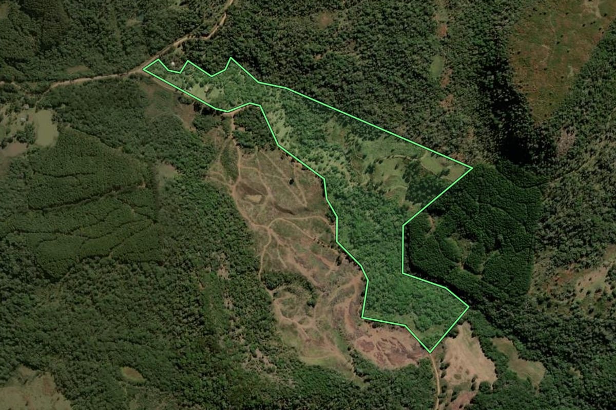 Imagem de satélite do imóvel rural em Lebon Régis (SC), com o contorno declarado no CAR desenhado por cima.
