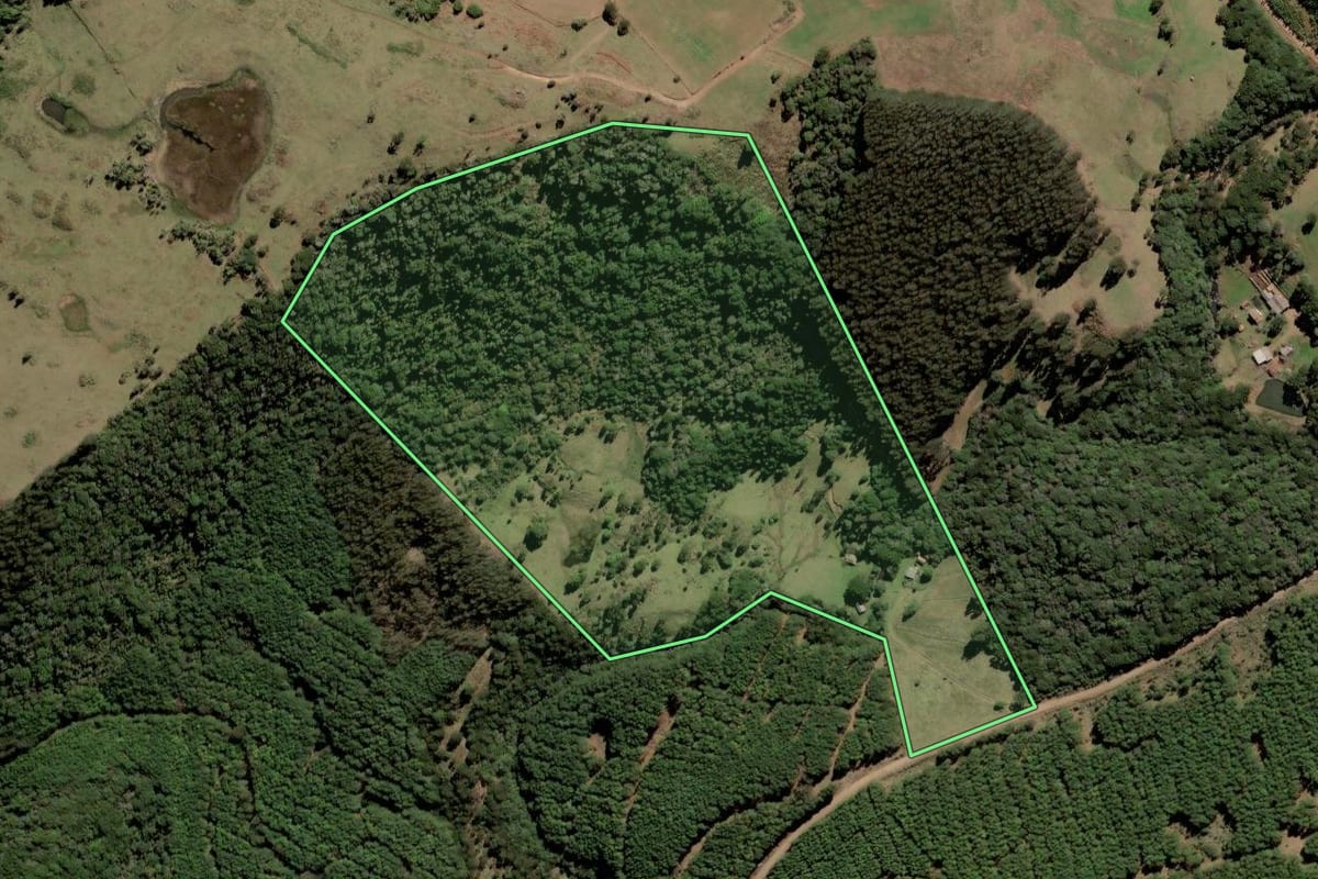 Imagem de satélite do imóvel rural em Lebon Régis (SC), com o contorno declarado no CAR desenhado por cima.