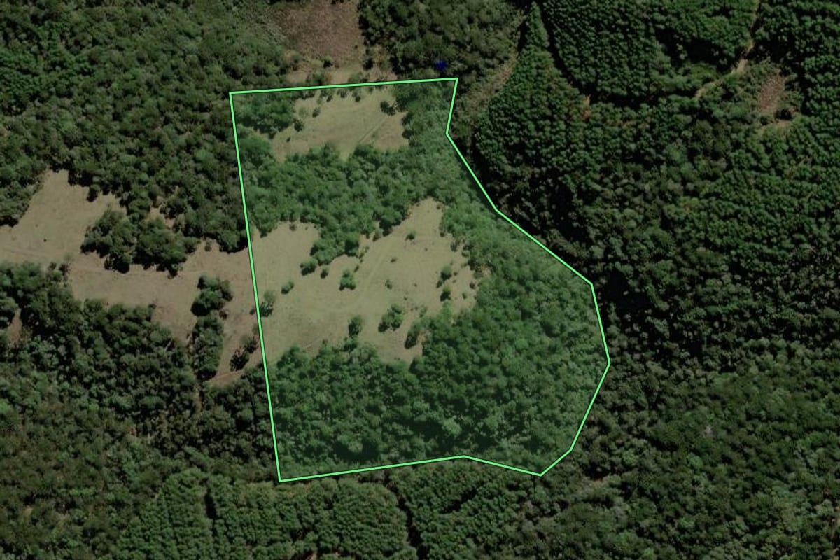 Imagem de satélite do imóvel rural em Lebon Régis (SC), com o contorno declarado no CAR desenhado por cima.