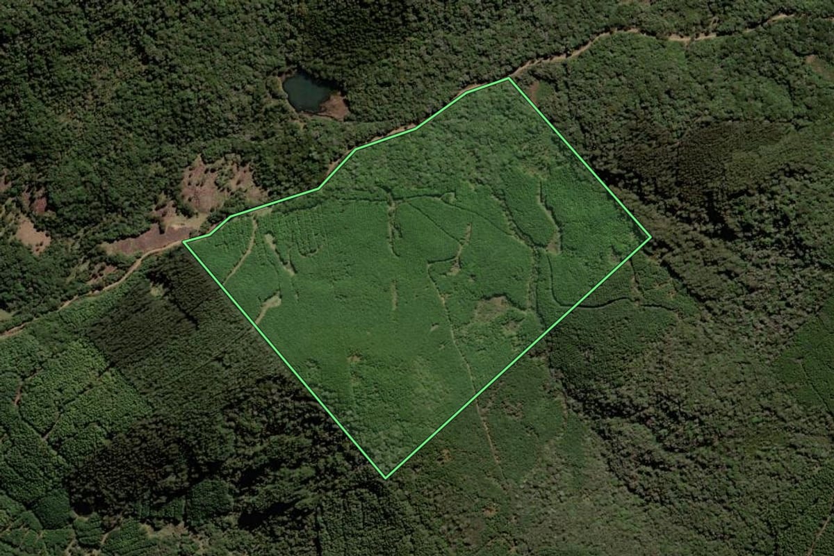 Imagem de satélite do imóvel rural em Lebon Régis (SC), com o contorno declarado no CAR desenhado por cima.