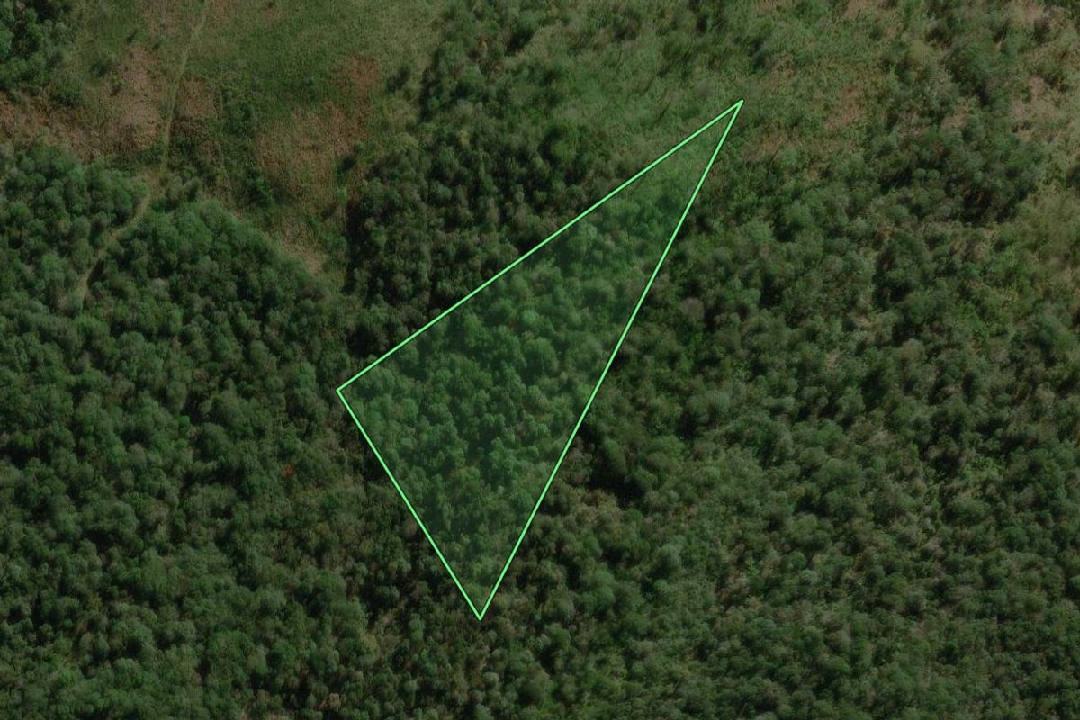 Imagem de satélite do imóvel rural em Lebon Régis (SC), com o contorno declarado no CAR desenhado por cima.