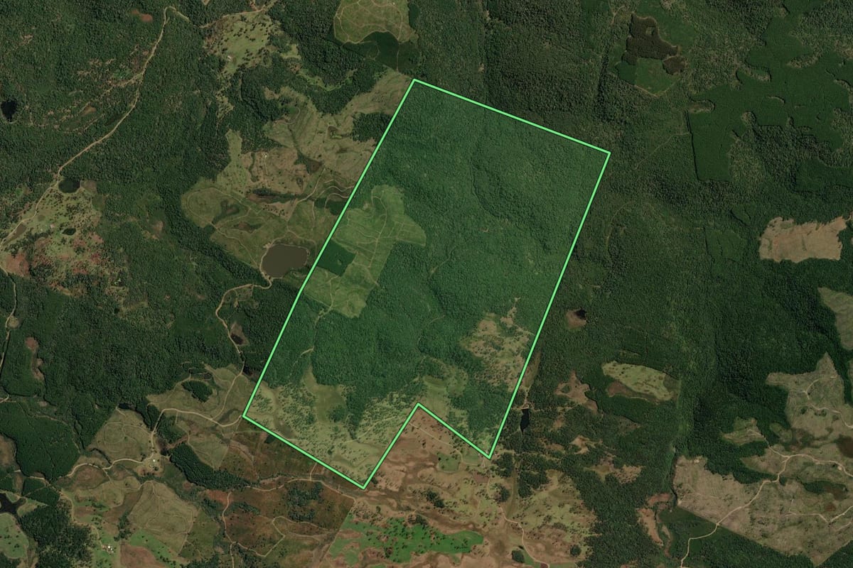 Imagem de satélite do imóvel rural em Lebon Régis (SC), com o contorno declarado no CAR desenhado por cima.