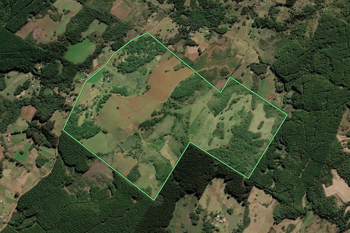 Imagem de satélite do imóvel rural em Lebon Régis (SC), com o contorno declarado no CAR desenhado por cima.