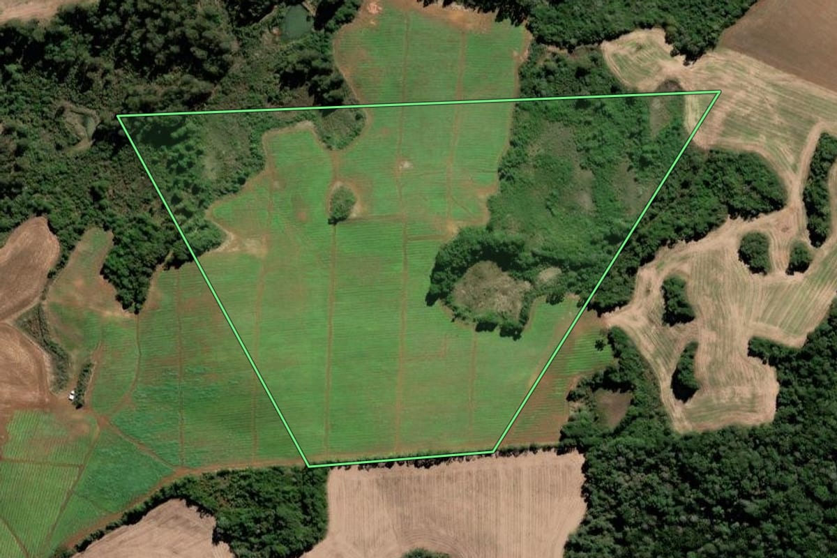 Imagem de satélite do imóvel rural em Lebon Régis (SC), com o contorno declarado no CAR desenhado por cima.