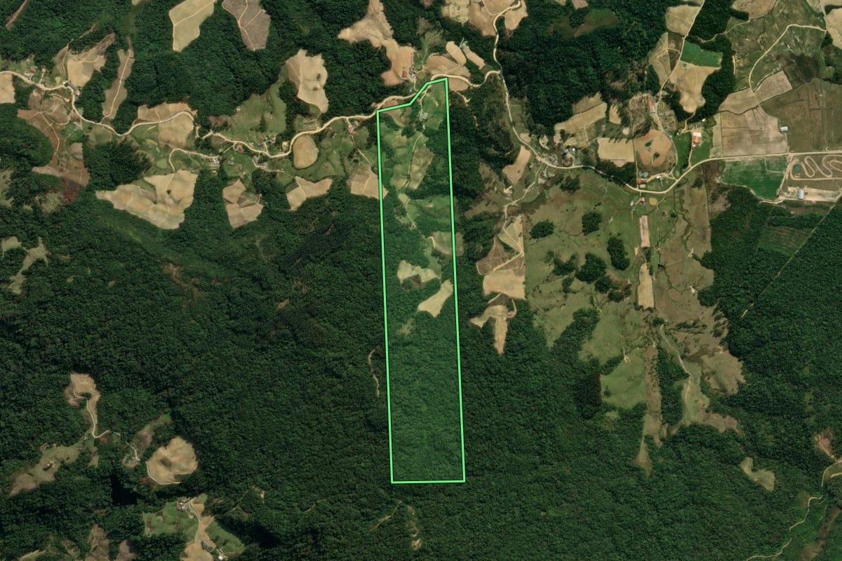 Imagem de satélite do imóvel rural em Leoberto Leal (SC), com o contorno declarado no CAR desenhado por cima.