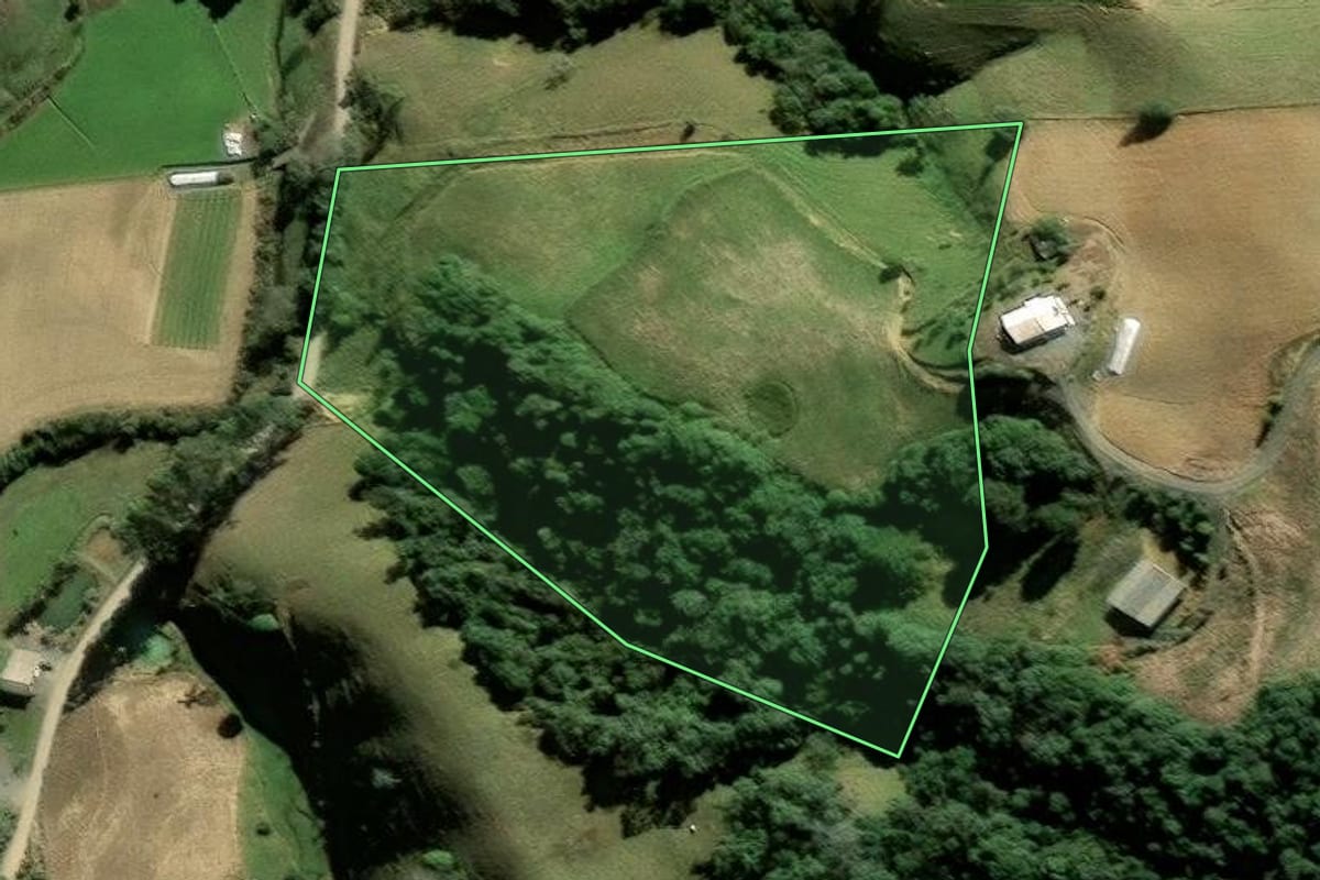 Imagem de satélite do imóvel rural em Leoberto Leal (SC), com o contorno declarado no CAR desenhado por cima.