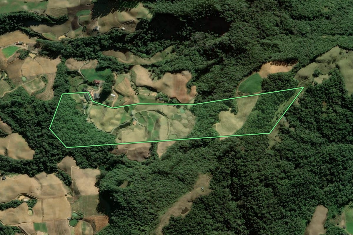 Imagem de satélite do imóvel rural em Leoberto Leal (SC), com o contorno declarado no CAR desenhado por cima.