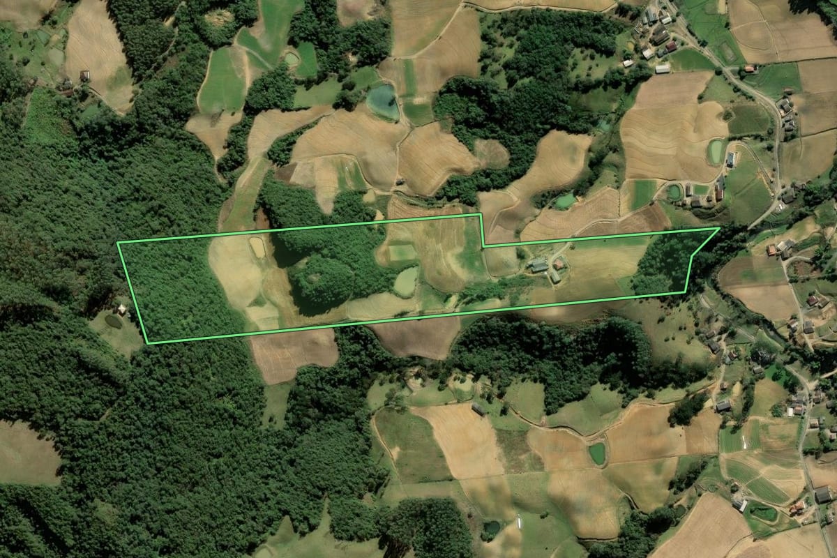 Imagem de satélite do imóvel rural em Leoberto Leal (SC), com o contorno declarado no CAR desenhado por cima.