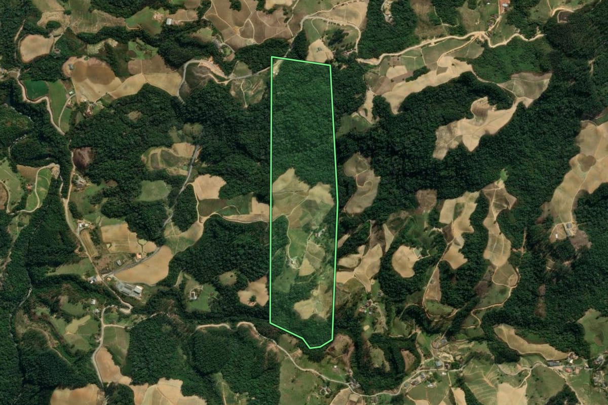 Imagem de satélite do imóvel rural em Leoberto Leal (SC), com o contorno declarado no CAR desenhado por cima.